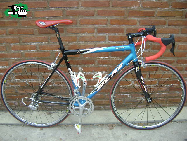 OLMO SCATTO