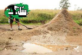 DIRT's ! [Pregunta]