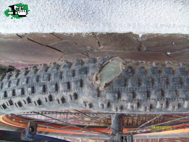 maxxis larsen 