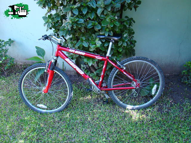 Cristian1979
