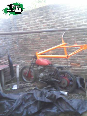Naranja Fluor