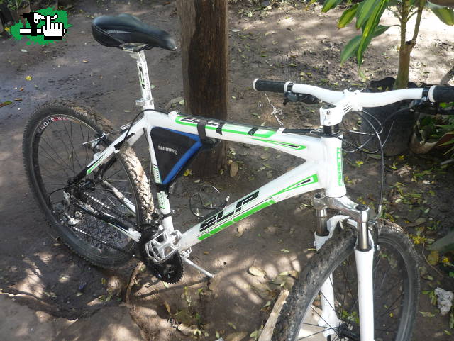 chocho023