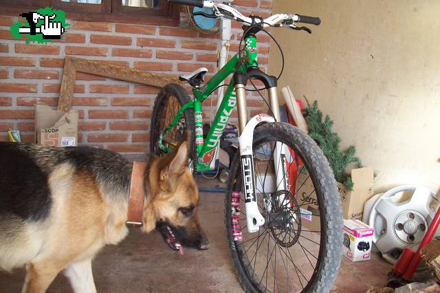 mis dos amores!! ajja