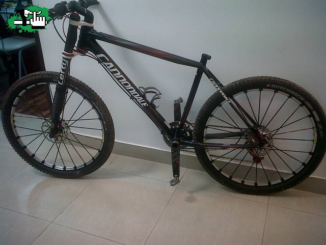 CANNONDALE FLASH