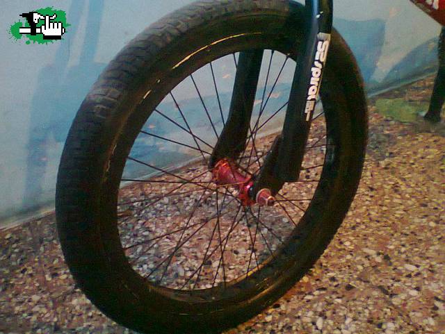 Nuevas Adquisiones