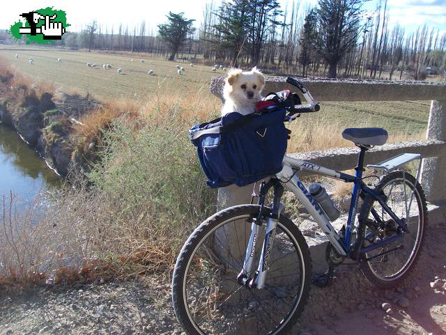 mascota biker 2