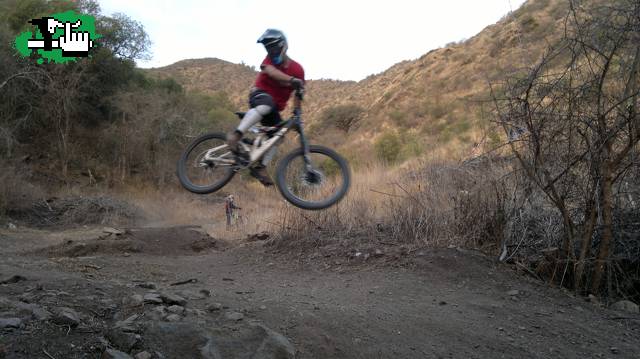 WHIP 