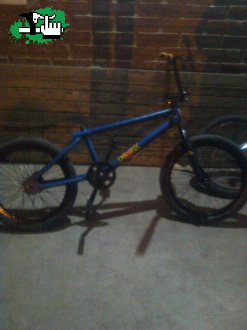 elagusbmx