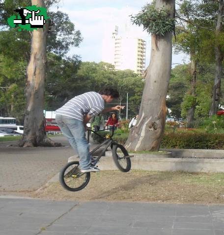 Barspin  principiante