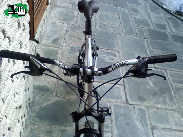 nuevas adquis