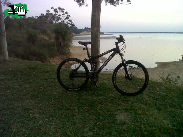 Dominguero
