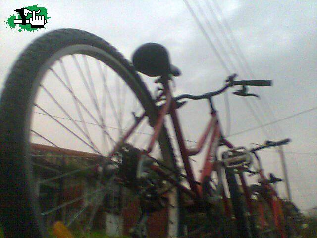 Mi Bici _Y La Del Colo :D