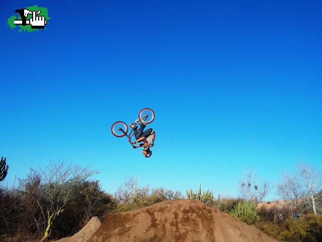 flip
