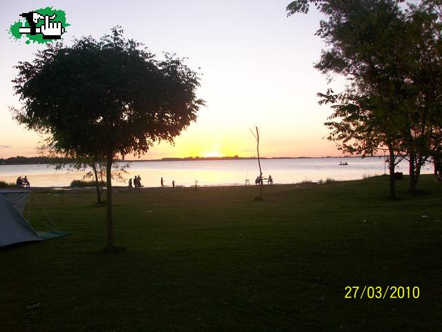 Chascomus nocturna