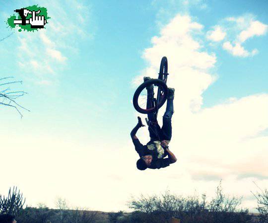 flip tire grap