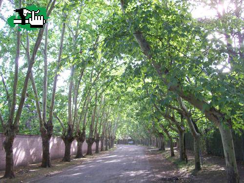 devoto cap.fed a parque lelior ituzaingo