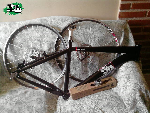 DiamondbacK