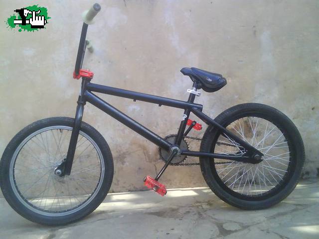 BIKE CHECK