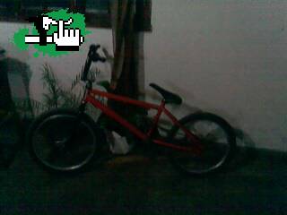 bmx
