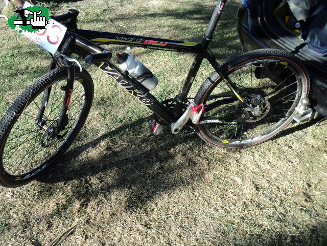 GilliXC