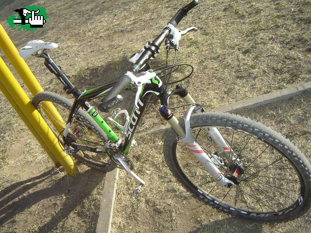 Scale50 2011
