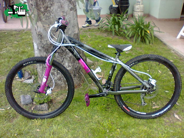 UMF hardy 4
