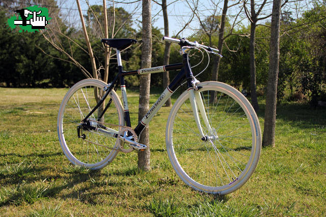 Mi híbrida Pinarello replica.