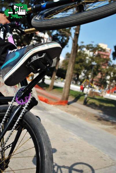safando en la 24"
