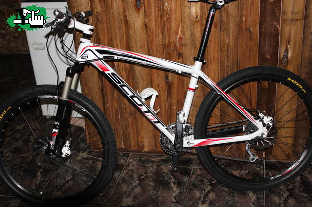 scott scale 50 2010