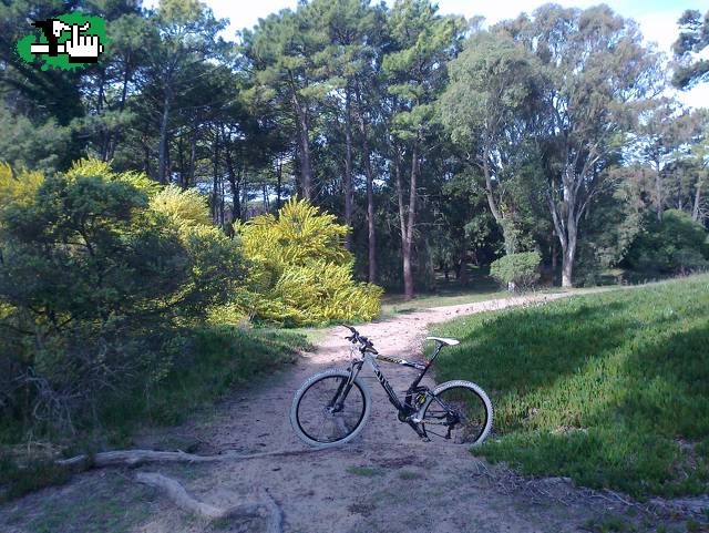 Entrenando en el vivero