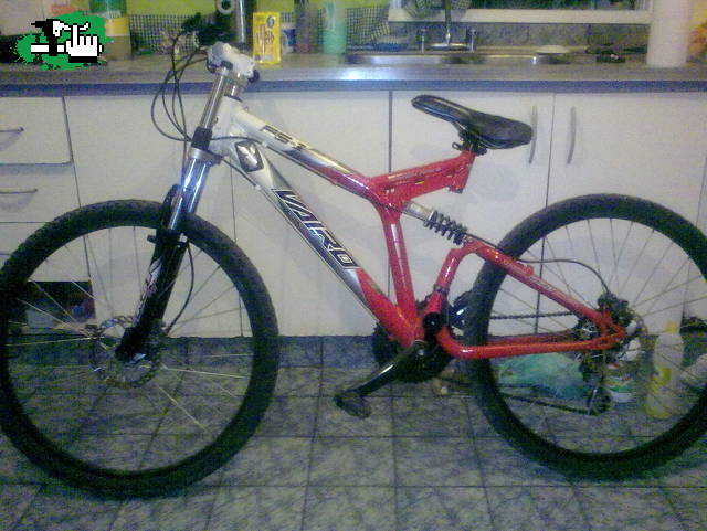 strigl10