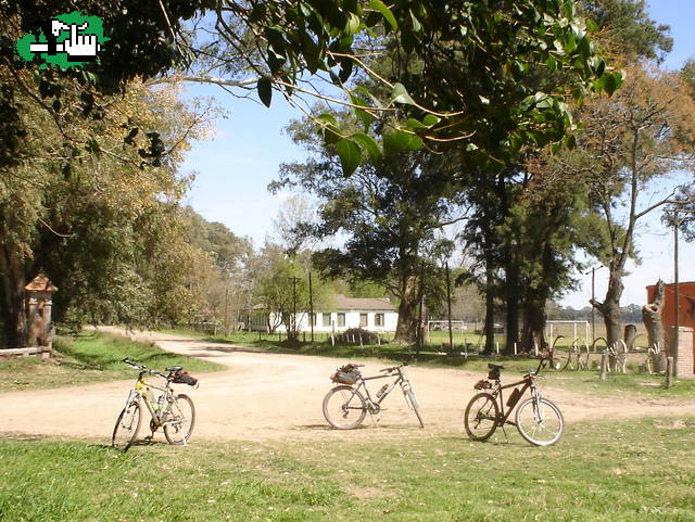 Los 3 Chif   ¡La carga de las gallinas!