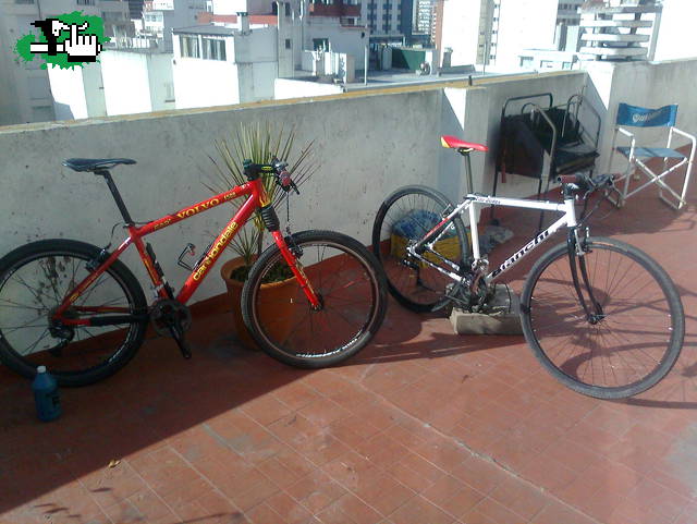 las nenas descanan en la terraza