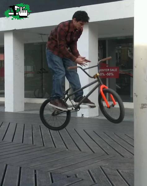 Bunny barspin