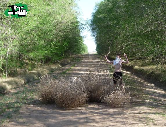Piquete 