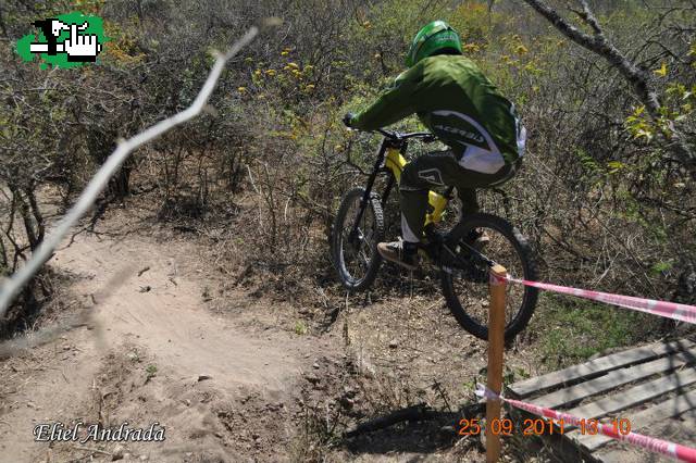 Gato en el ARGENTINO DH