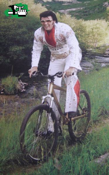 Vamos Elvis