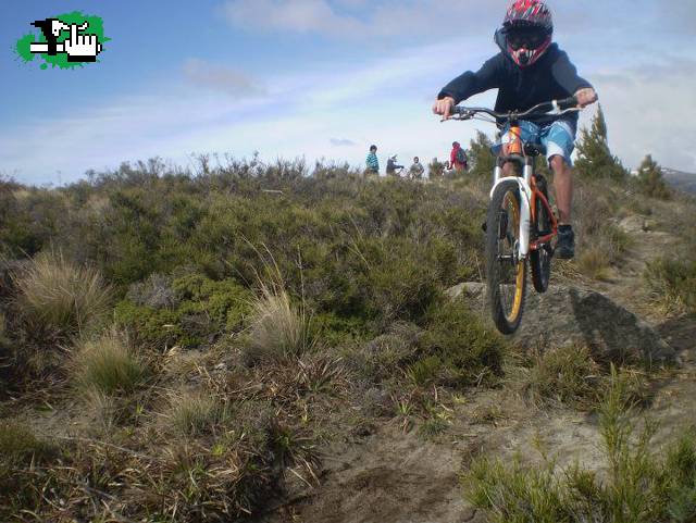 copiando la piedra