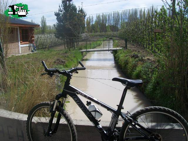Vuelta al ruedo de la negra