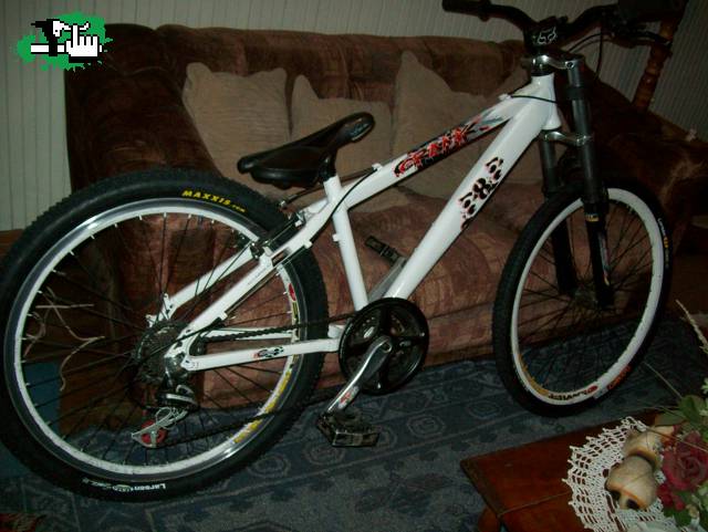alfin los maxxis