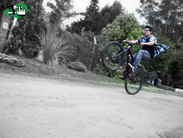 Practicando el manual.