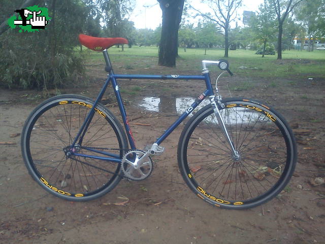 Pituca