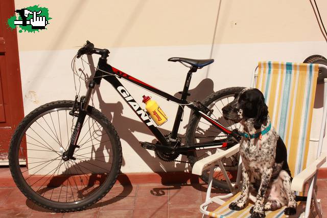 El cuidador de mi Giant 