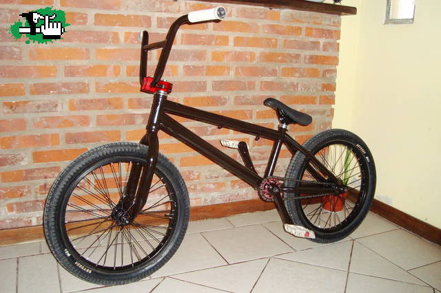 check mas nuevo look