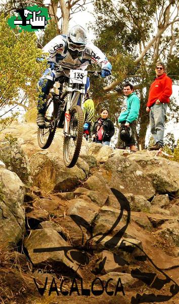 tandil