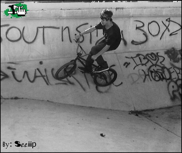 Wallride