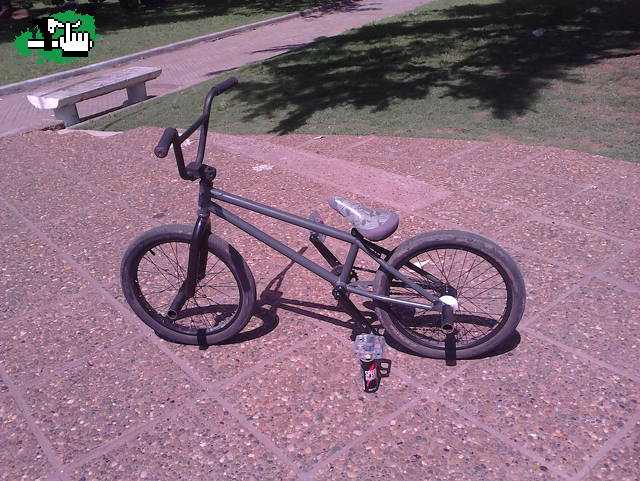 BUNNY BARSPIN