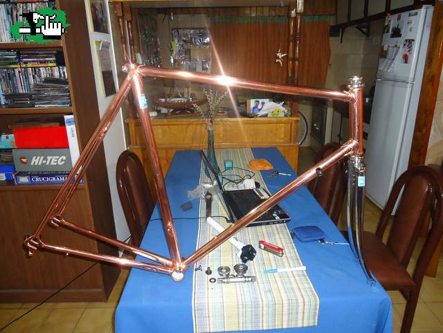 proyecto colnago