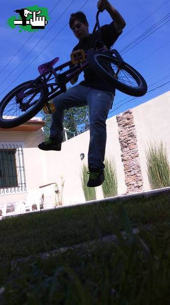 Tailwhip (L)