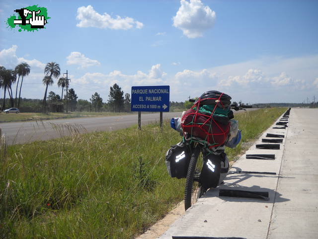 Viaje AL Palmar